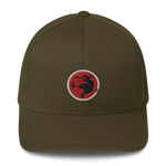 Ninja Kiwi Logo Cap ( Flexifit)