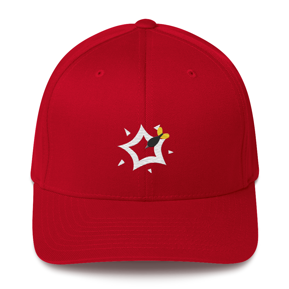 Dart Pop Flexifit Cap (Embroidery) – Ninja Kiwi Store