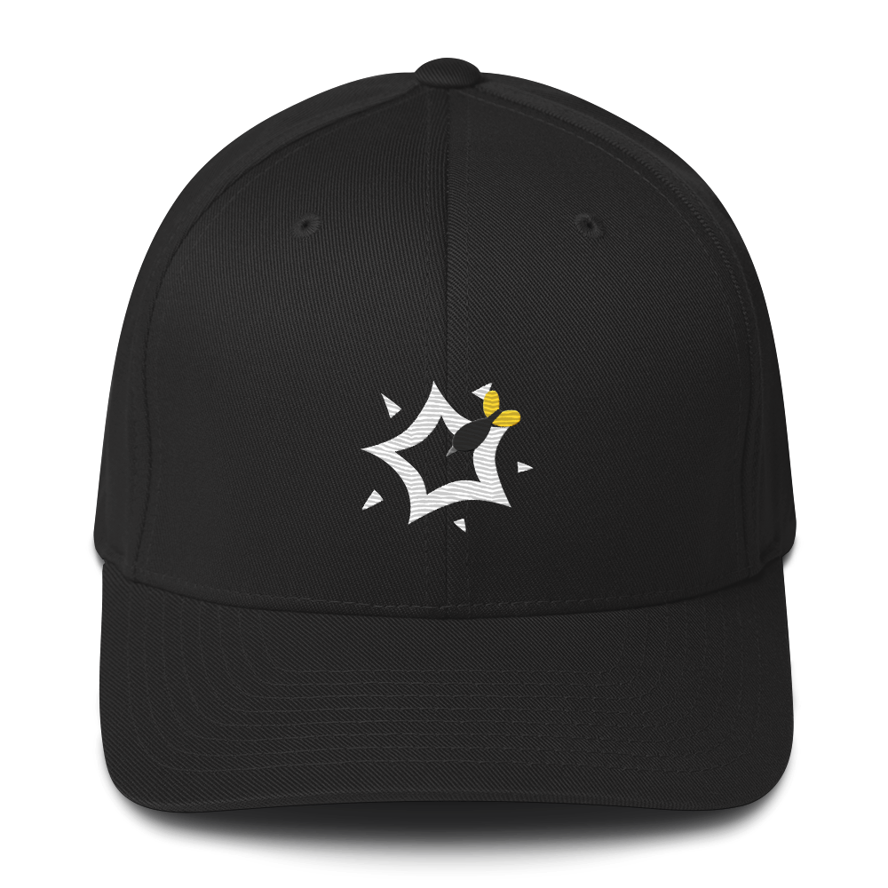 Dart Pop Cap (Flexifit)