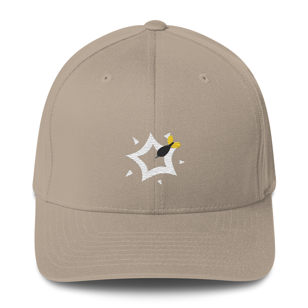 Dart Pop Cap (Flexifit)