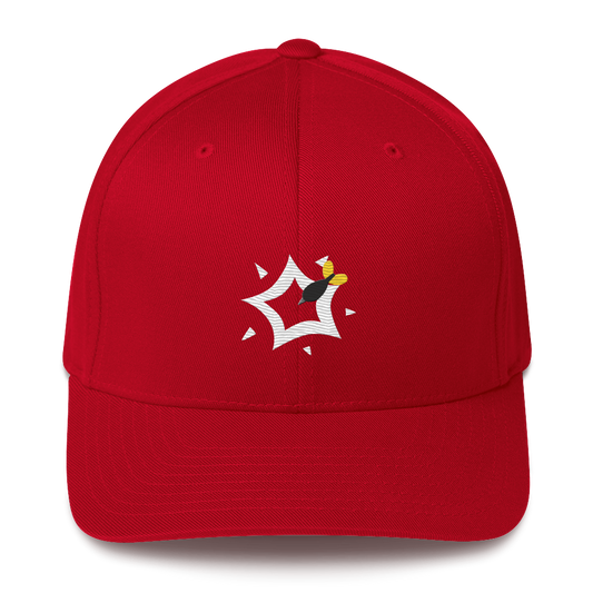 Dart Pop Cap (Flexifit)