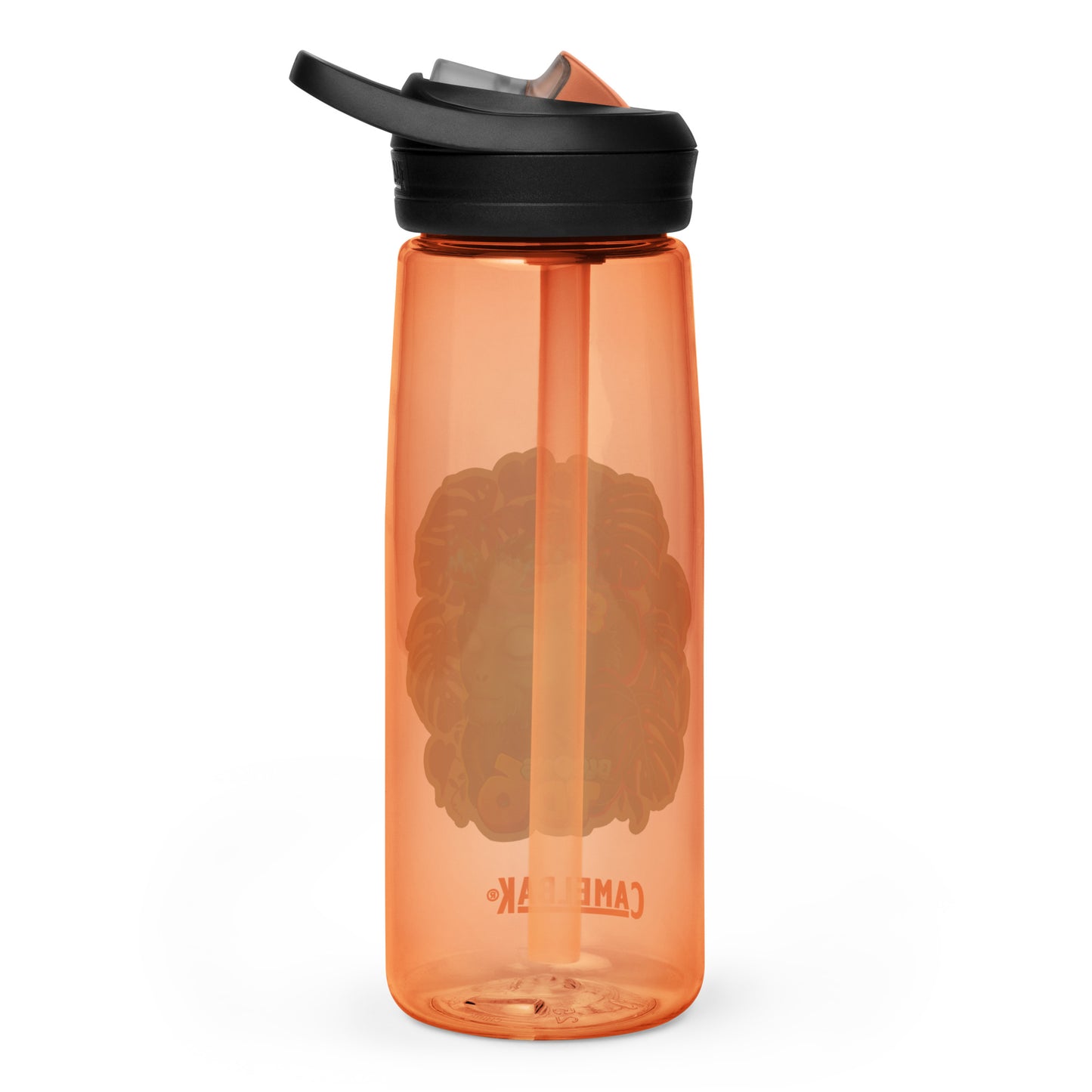 Zen Druid Sports Water Bottle | CamelBak Eddy®+