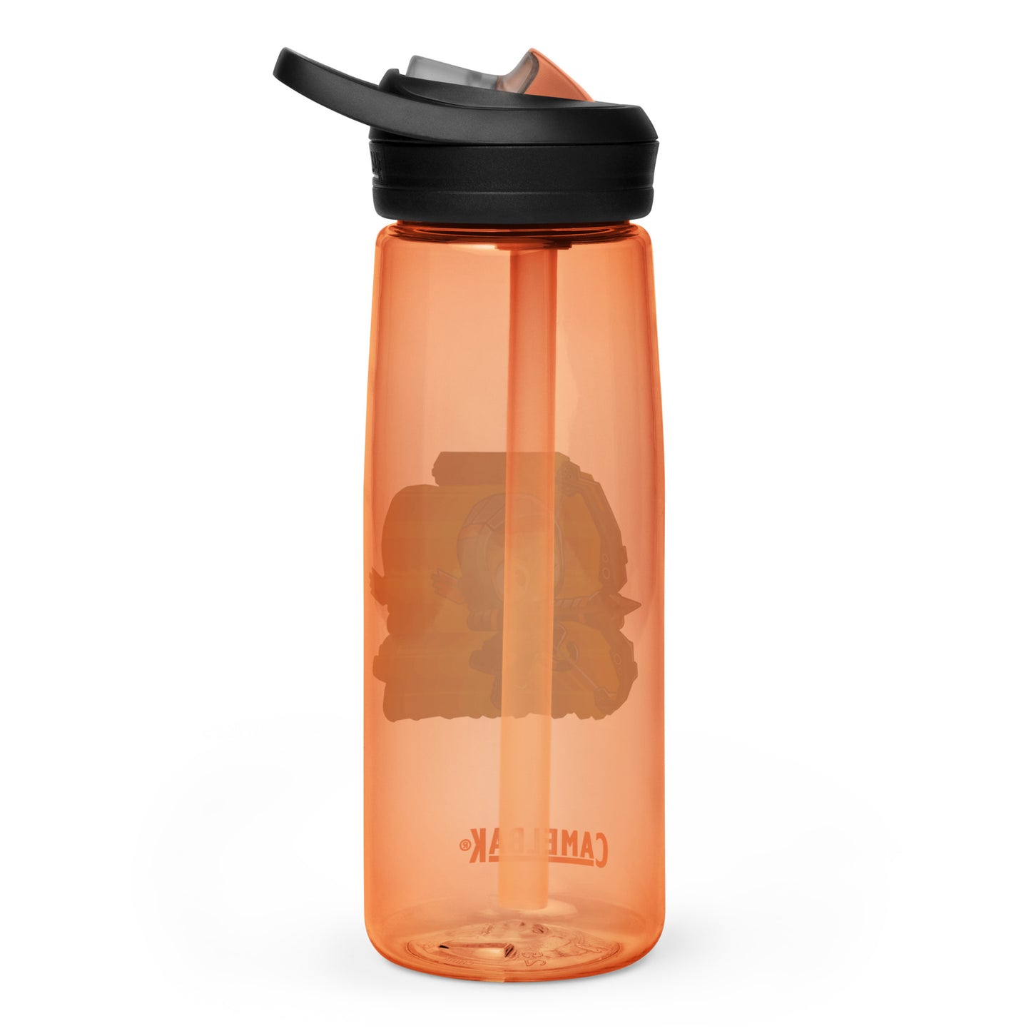 Retro Quincy Sports Water Bottle | CamelBak Eddy®+