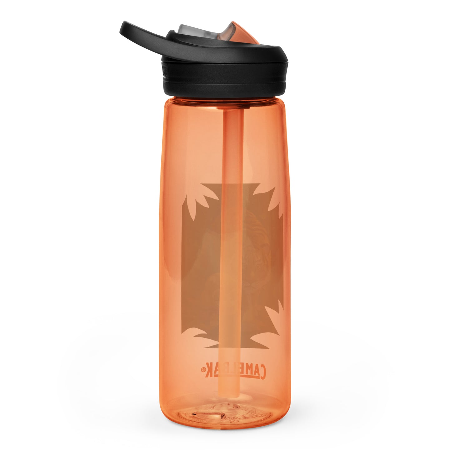 Tiger And Psi Sports Water Bottle | CamelBak Eddy®+