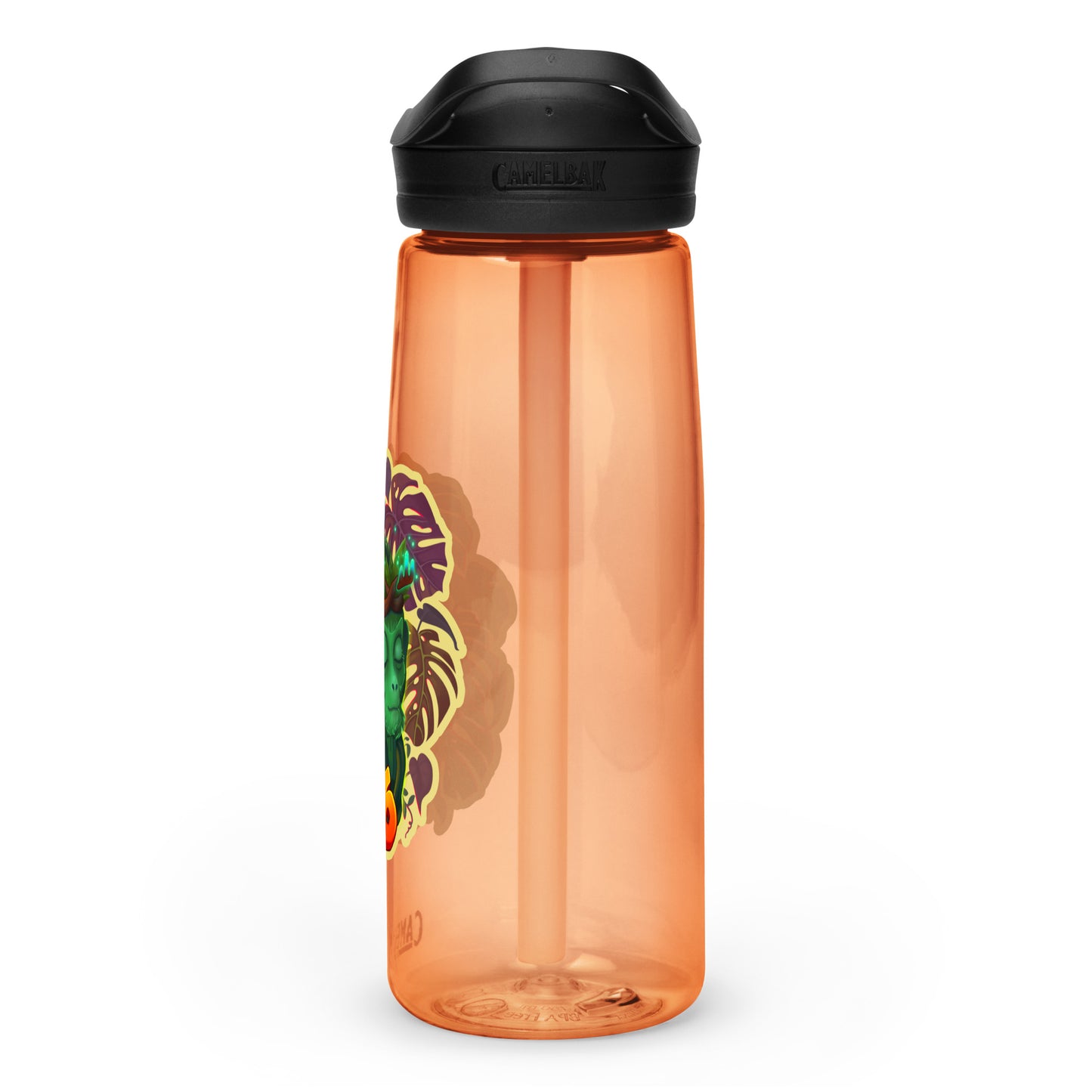 Zen Druid Sports Water Bottle | CamelBak Eddy®+