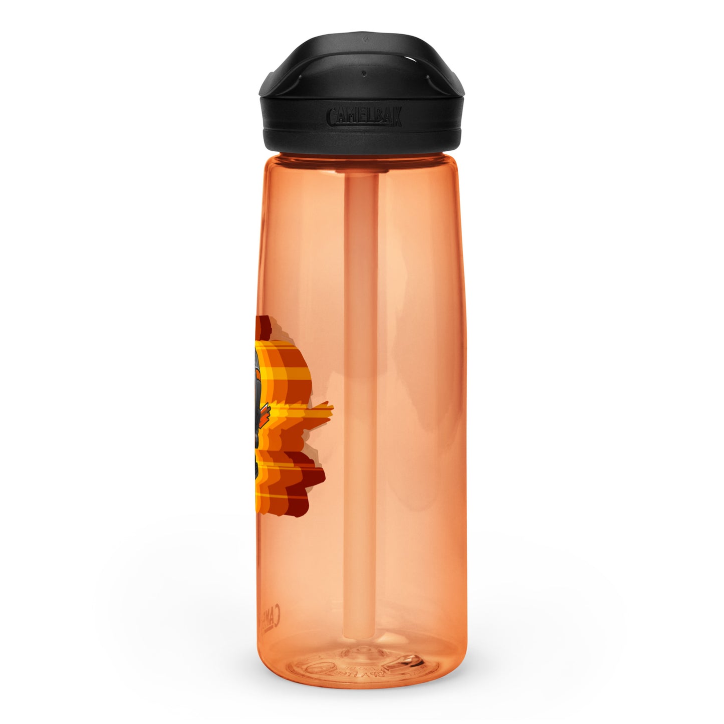 Retro Quincy Sports Water Bottle | CamelBak Eddy®+