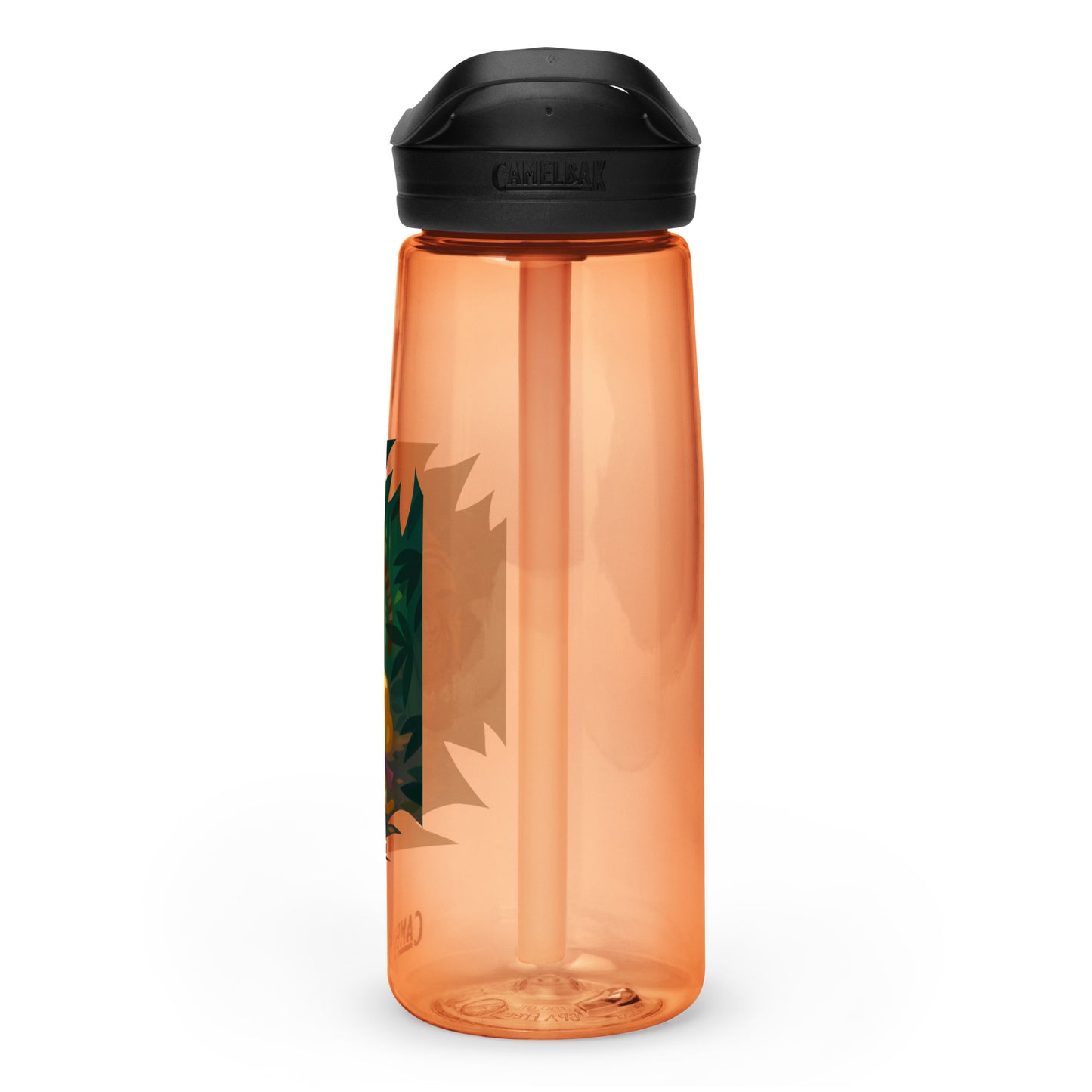 Tiger And Psi Sports Water Bottle | CamelBak Eddy®+