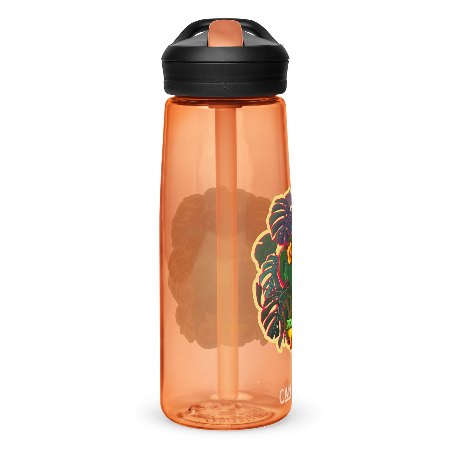 Zen Druid Sports Water Bottle | CamelBak Eddy®+