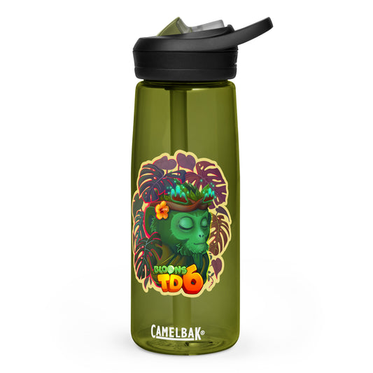 Zen Druid Sports Water Bottle | CamelBak Eddy®+