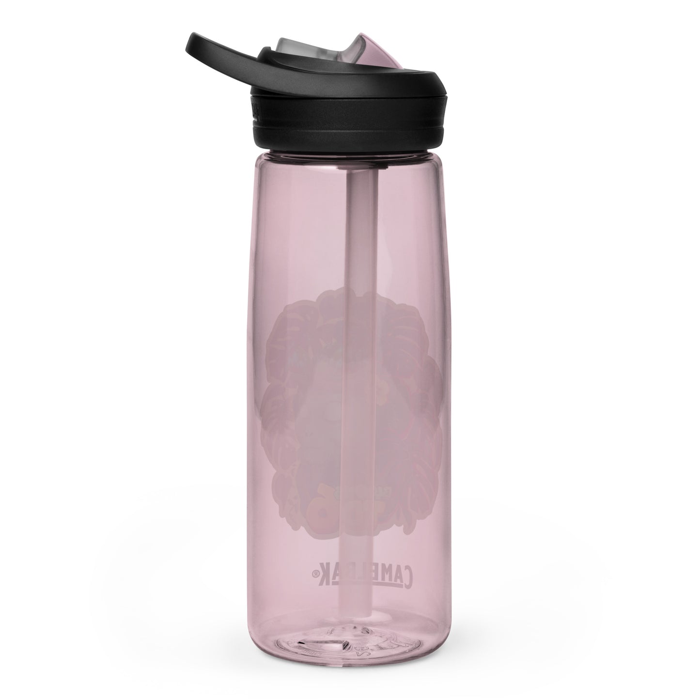 Zen Druid Sports Water Bottle | CamelBak Eddy®+