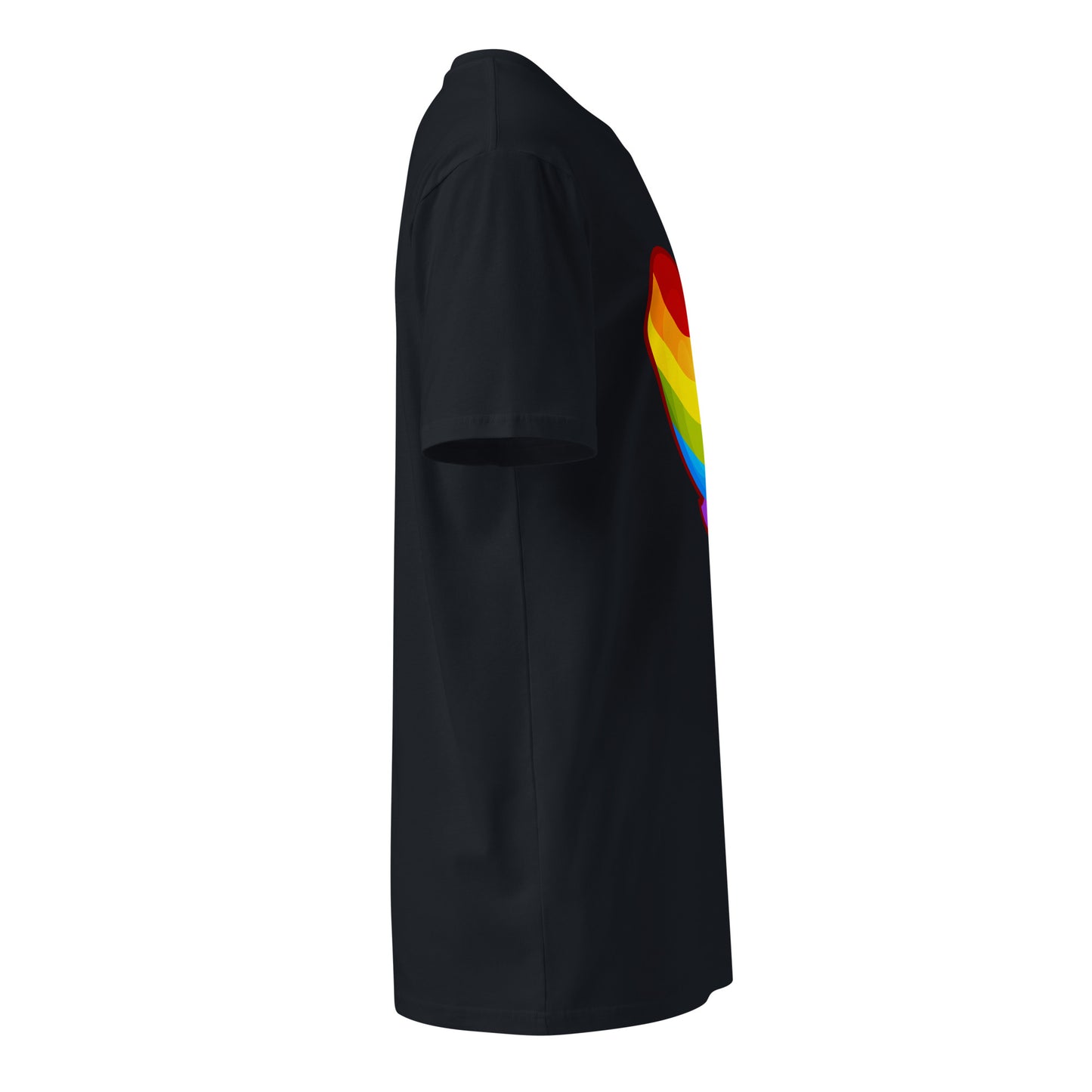 Regen Rainbow Premium Shirt (Unisex)