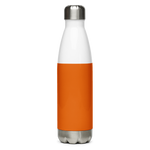Dart Pop Stainless Steel Water Bottle